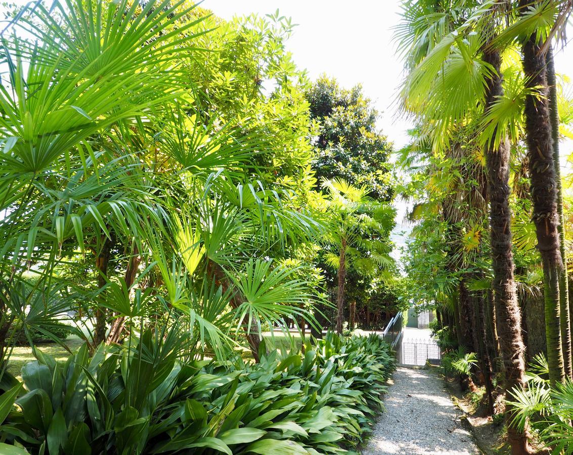 Casa Mondadori Bed & Breakfast Meina Dış mekan fotoğraf