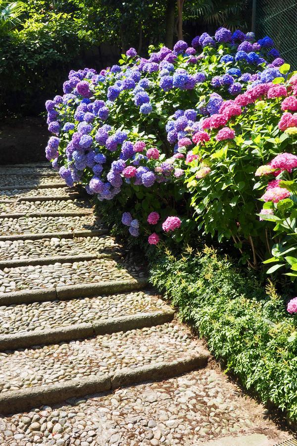 Casa Mondadori Bed & Breakfast Meina Dış mekan fotoğraf